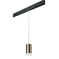 Трековый светильник Lightstar Rullo (214431+595857+202430) PRORP43130 