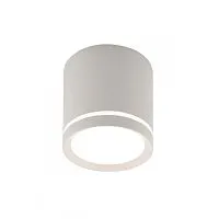 Накладной светодиодный светильник Denkirs DK4013-WH 