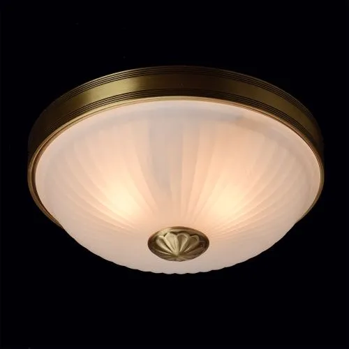 Потолочный светильник MW-Light Ангел 295013402  фото 2
