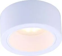 Потолочный светильник Arte Lamp Effetto A5553PL-1WH 