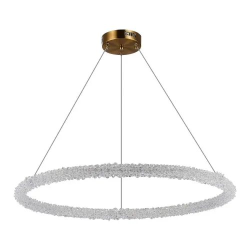 Подвесной светодиодный светильник ST Luce Avana SL6110.223.01  фото 3