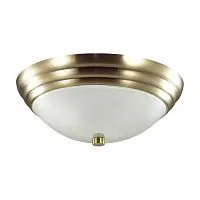 Настенно-потолочный светильник SONEX Kayla 5262/2C стекло белое 