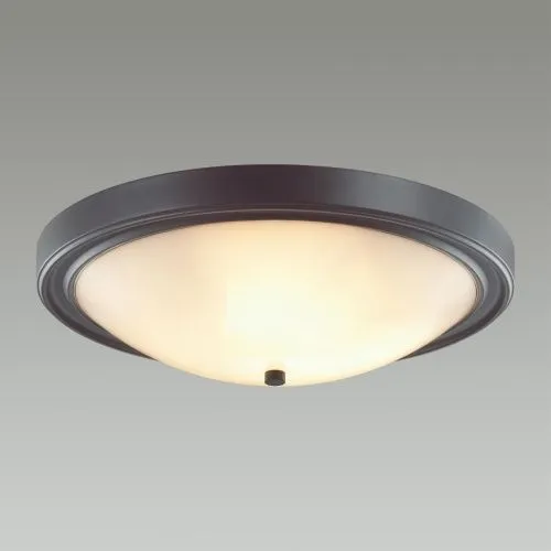 Настенно-потолочный светильник Lumion Vintage Nina 5260/4C  фото 3