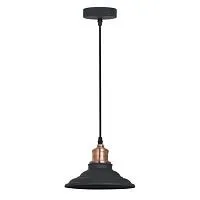 Подвесной светильник Arte Lamp A5067SP-1BK 