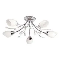 Потолочная люстра MW-Light Нежность 356015105 
