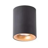 Потолочный светильник Arte Lamp Torre A1532PL-1BK 
