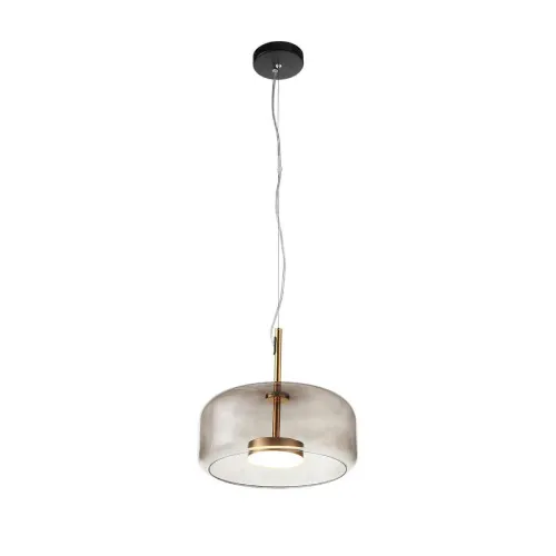 Подвесной светодиодный светильник ST Luce Palochino SL1053.243.01 