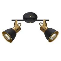 Спот Arte Lamp Jovi A1677PL-2GO 