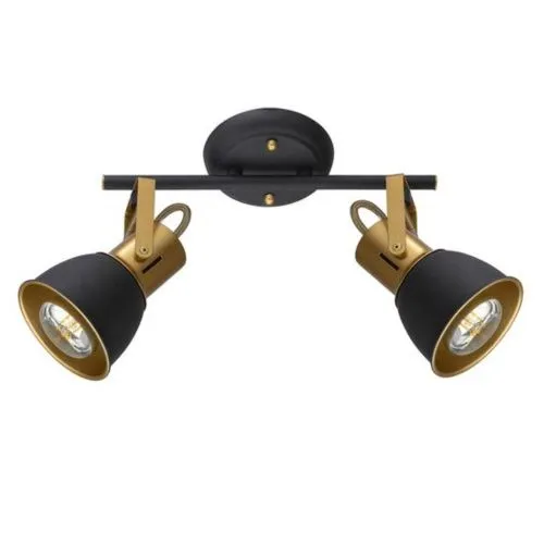 Спот Arte Lamp Jovi A1677PL-2GO 