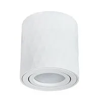 Потолочный светильник Arte Lamp Fang A5559PL-1WH 