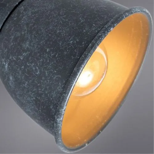 Спот Arte Lamp A1677PL-2GY  фото 3