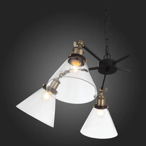 Подвесная люстра ST Luce Evoluto SL237.413.05  фото 9