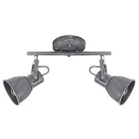 Спот Arte Lamp A1677PL-2GY 