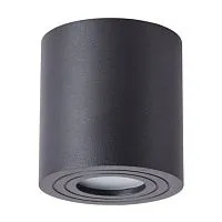 Потолочный светильник Arte Lamp Galopin A1460PL-1BK 