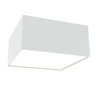 Потолочный светильник Technical C067CL-L12W4K 