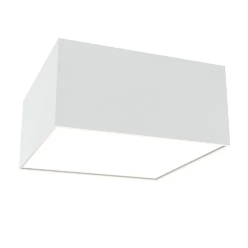 Потолочный светильник Technical C067CL-L12W4K 