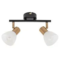 Спот Arte Lamp Falena A3117PL-2BK 