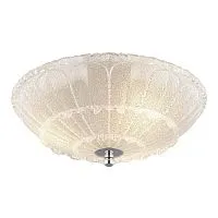 Потолочный светильник Lightstar Zucche 820234 