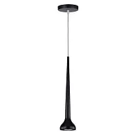 Подвесной светильник Arte Lamp Slanciato A4010SP-1BK 
