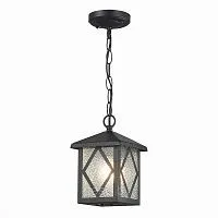 Уличный подвесной светильник ST Luce Lorne SL084.403.01 