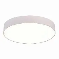 Потолочный светодиодный светильник ST Luce ST606.542.48 