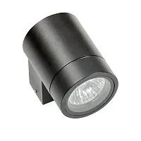 Уличный настенный светильник Lightstar Paro 350607 