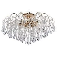 Потолочная люстра MW-Light Бриз 464018709 