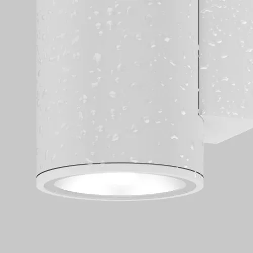 Настенный светильник (бра) Outdoor O303WL-L10W3K  фото 6