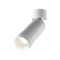 Потолочный светильник Technical C055CL-L12W4K-Z-W 