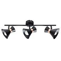 Спот Arte Lamp Baltimore A1406PL-3BK 