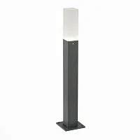 Уличный светодиодный светильник ST Luce SL101.705.01 