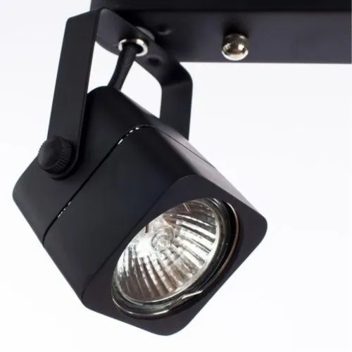 Спот Arte Lamp Lente A1314PL-2BK  фото 4