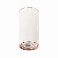 Потолочный светильник ST Luce Chomus ST111.527.01 