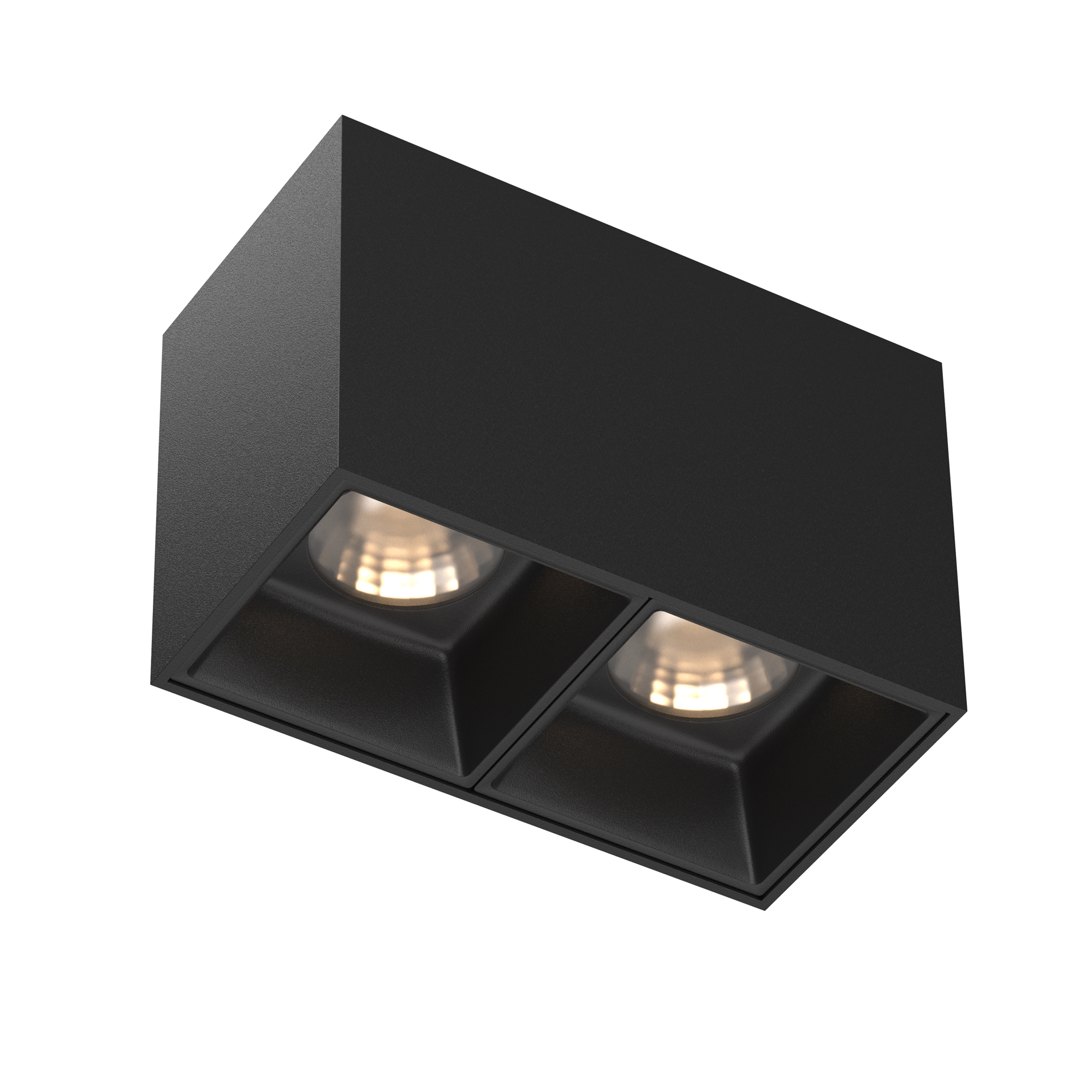 Потолочный светильник Technical C065CL-02-L12W3K-B 