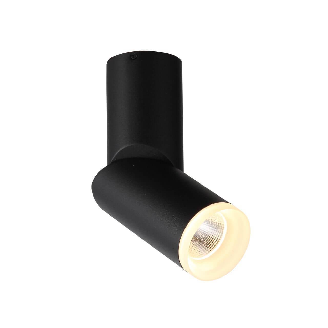 Светодиодный спот ST Luce Tortelle ST107.402.10 
