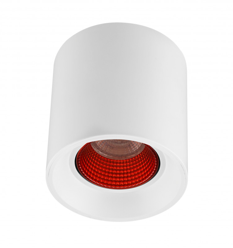 Накладной светильник Denkirs DK3090-WH+RD 