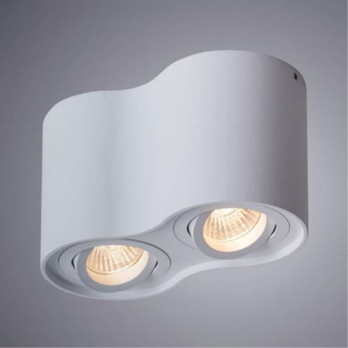 Потолочный светильник Arte Lamp Falcon A5645PL-2WH  фото 2