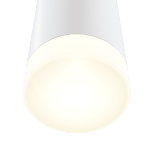 Настенный светильник Maytoni Dafne C027WL-L10W  фото 7