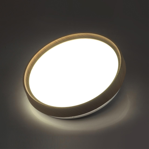 Настенно-потолочный светодиодный светильник Sonex Woodi 7603/CL  фото 3