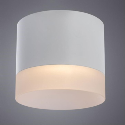 Потолочный светильник Arte Lamp Castor A5554PL-1WH  фото 2