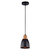 Подвесной светильник Arte Lamp Eurica A4248SP-1BK 