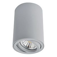 Потолочный светильник Arte Lamp A1560PL-1GY 