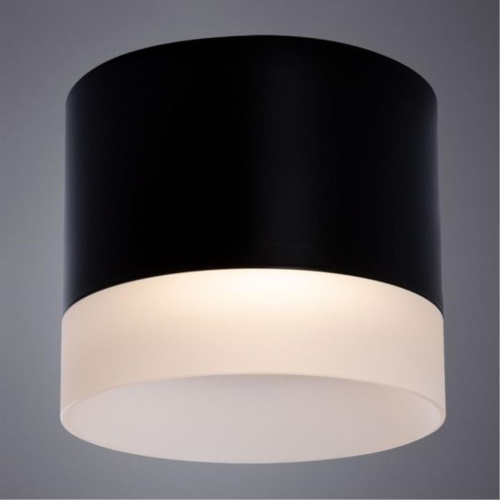 Потолочный светильник Arte Lamp Castor A5554PL-1BK  фото 2