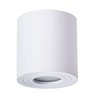 Потолочный светильник Arte Lamp Galopin A1460PL-1WH 