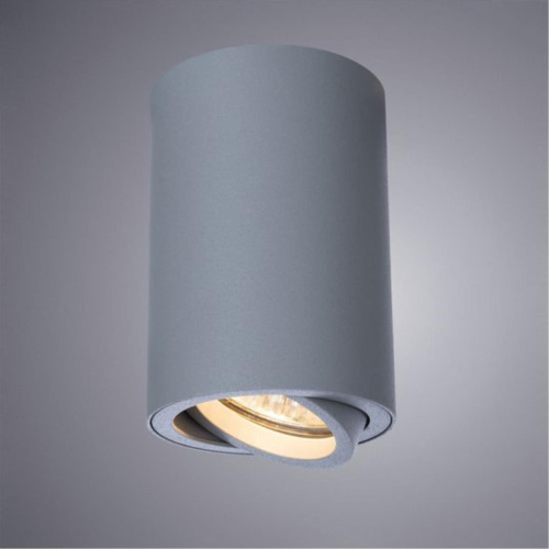 Потолочный светильник Arte Lamp A1560PL-1GY  фото 4