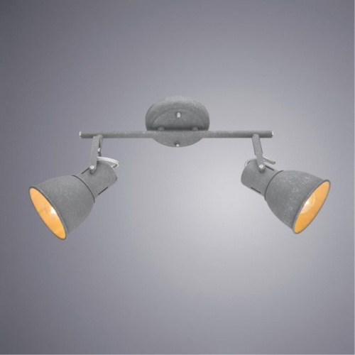 Спот Arte Lamp A1677PL-2GY  фото 2