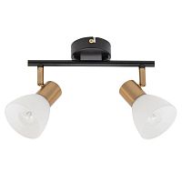 Спот Arte Lamp Falena A3117PL-2BK 