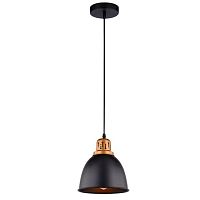 Подвесной светильник Arte Lamp Eurica A4245SP-1BK 