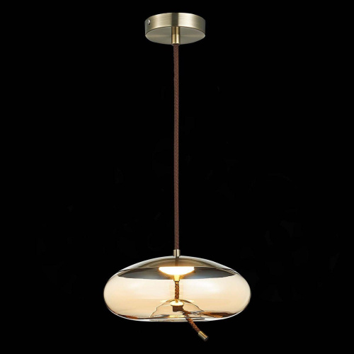 Подвесной светодиодный светильник ST Luce Ozzio SL6108.303.01  фото 4