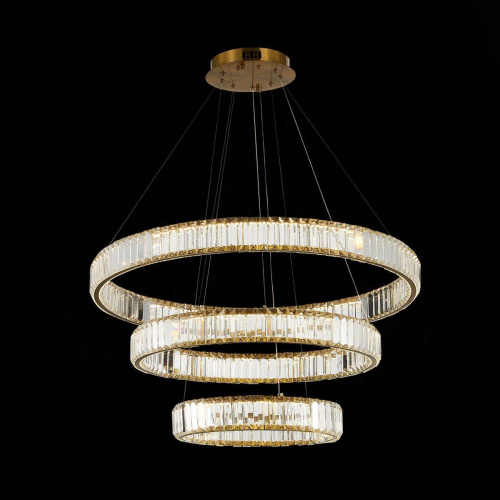 Подвесная светодиодная люстра ST Luce Tivoli SL1622.303.03  фото 4